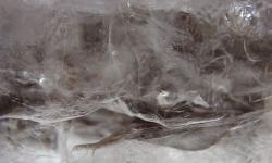 Featured image of post New Header Photo: Ice