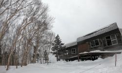 Featured image of post Shiga Kogen 2019