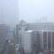 Second Snow in Tokyo