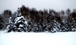 Featured image of post Family road trip to Shiga Kogen