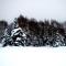 Family road trip to Shiga Kogen