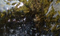 Featured image of post New Header Image: Water
