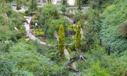 Featured image of post Rose Gardens and Biker's Paradise