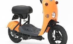 Featured image of post Suzuki Choi Nori