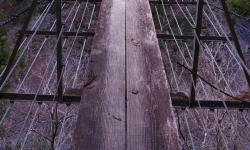 Featured image of post Nagashima Dam area