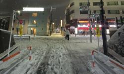 Featured image of post Random Photos, February 2024