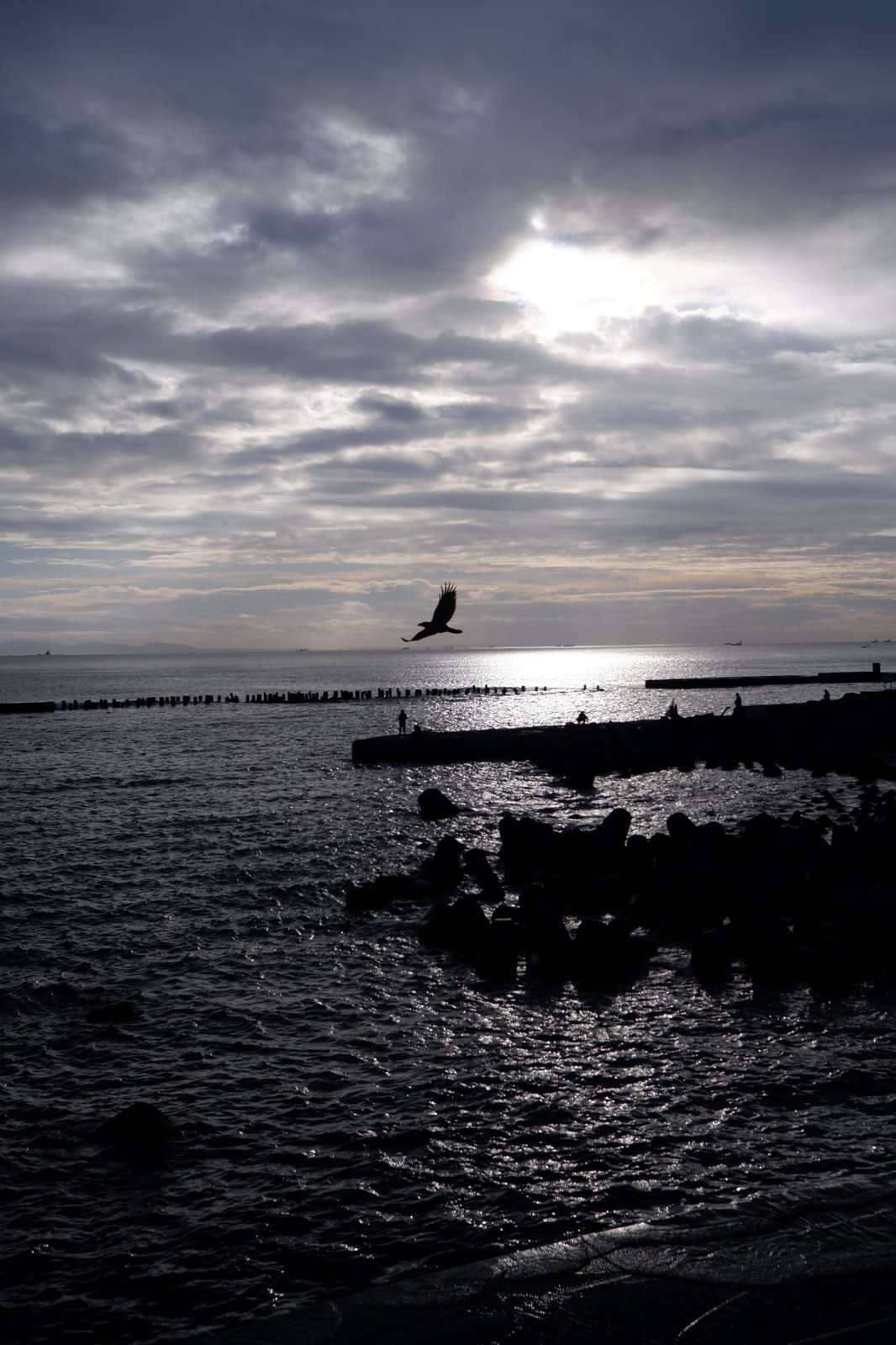 Featured image of post Morning Photos - Fishing around Hiratsuka