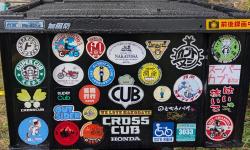 Featured image of post Shonan Cub Meeting - April 2025