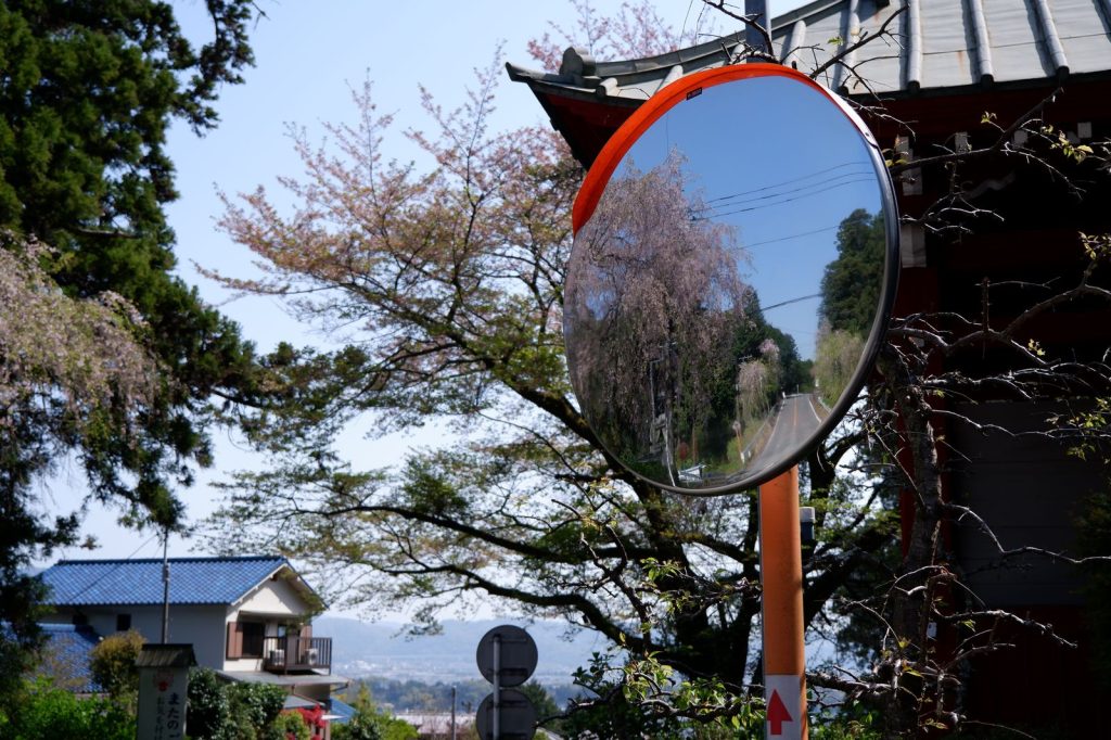 A mirror of a gate and hanami - art I tell you!