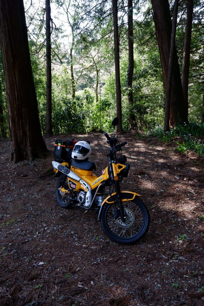 Woodland which was apparently a car park. With the Hunter Cub.